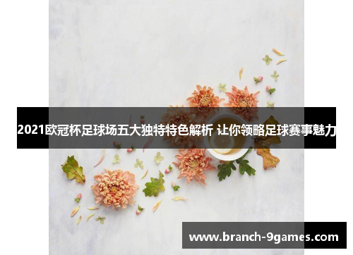 2021欧冠杯足球场五大独特特色解析 让你领略足球赛事魅力