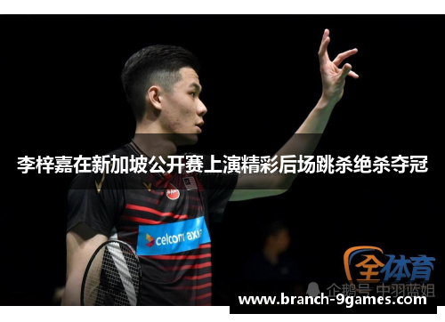 李梓嘉在新加坡公开赛上演精彩后场跳杀绝杀夺冠 李梓嘉在新加坡公开赛上演精彩后场跳杀绝杀夺冠